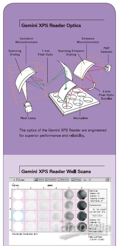 荧光酶标仪Gemini XPS
