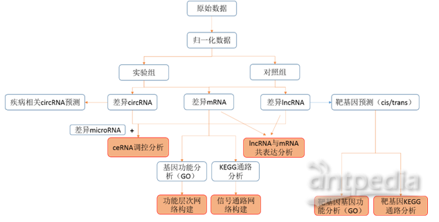 ceRNA 芯片分析流程