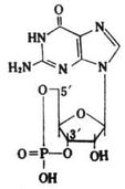 环磷酸鸟苷分子结构式
