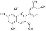 矢车菊素-O-葡萄糖苷分子结构式