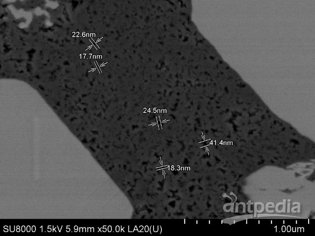 徕卡EM TIC3X三离子束切割抛光仪在地质样品中的应用(图2)