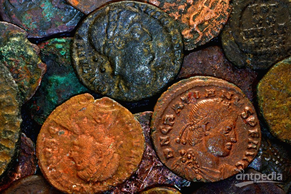 coins-4786028_1920.jpg