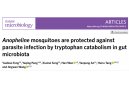 Nat Microbiol新刊: 定量代谢组学揭示共生菌影响按蚊营养代谢与传病能力的规律