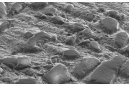 三离子束切割技术在金刚石/铝复合材料界面分析中的应用