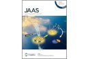JAAS封面文章：XPS助力卡林型金矿中“不可见金”定量表征研究取得突破