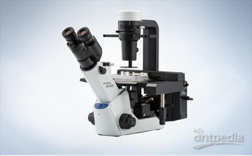 奥林巴斯倒置生物显微镜CKX53