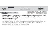 文献解读丨工作温度匹配的阳极钯-氢缓冲层大幅度提升高温燃料电池耐久性