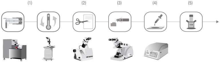 (1) 光学显微镜成像 | (2) 自动组织处理（EM TP） | (3) 修块（EM RAPID） | (4) 连续切片（EM UC7） | (5) 染色（EM AC20） | (6) 透射电子显微镜中的图像分析